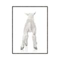 Picture of Behind Lamb _GroupedProduct_Rectangle_Portrait_Mini_ _GroupedProduct_Rectangle_Portrait_Canvas_Framed_