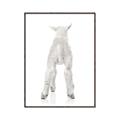 Picture of Behind Lamb _GroupedProduct_Rectangle_Portrait_Mini_ _GroupedProduct_Rectangle_Portrait_Canvas_Framed_