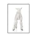Picture of Behind Lamb _GroupedProduct_Rectangle_Portrait_Mini_ _GroupedProduct_Rectangle_Portrait_Canvas_Framed_