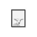 Picture of Farmhouse Sheep _GroupedProduct_Rectangle_Portrait_Mini_ _GroupedProduct_Rectangle_Portrait_Canvas_Framed_