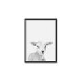 Picture of Farmhouse Sheep _GroupedProduct_Rectangle_Portrait_Mini_ _GroupedProduct_Rectangle_Portrait_Canvas_Framed_