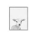 Picture of Farmhouse Sheep _GroupedProduct_Rectangle_Portrait_Mini_ _GroupedProduct_Rectangle_Portrait_Canvas_Framed_