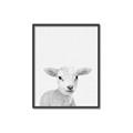 Picture of Farmhouse Sheep _GroupedProduct_Rectangle_Portrait_Mini_ _GroupedProduct_Rectangle_Portrait_Canvas_Framed_