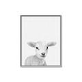 Picture of Farmhouse Sheep _GroupedProduct_Rectangle_Portrait_Mini_ _GroupedProduct_Rectangle_Portrait_Canvas_Framed_