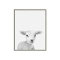 Picture of Farmhouse Sheep _GroupedProduct_Rectangle_Portrait_Mini_ _GroupedProduct_Rectangle_Portrait_Canvas_Framed_
