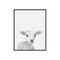 Picture of Farmhouse Sheep _GroupedProduct_Rectangle_Portrait_Mini_ _GroupedProduct_Rectangle_Portrait_Canvas_Framed_