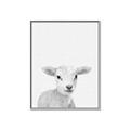 Picture of Farmhouse Sheep _GroupedProduct_Rectangle_Portrait_Mini_ _GroupedProduct_Rectangle_Portrait_Canvas_Framed_