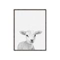 Picture of Farmhouse Sheep _GroupedProduct_Rectangle_Portrait_Mini_ _GroupedProduct_Rectangle_Portrait_Canvas_Framed_
