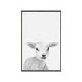 Picture of Farmhouse Sheep _GroupedProduct_Rectangle_Portrait_Mini_ _GroupedProduct_Rectangle_Portrait_Canvas_Framed_