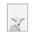 Picture of Farmhouse Sheep _GroupedProduct_Rectangle_Portrait_Mini_ _GroupedProduct_Rectangle_Portrait_Canvas_Framed_