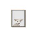 Picture of Baby Lamb _GroupedProduct_Rectangle_Portrait_Mini_ _GroupedProduct_Rectangle_Portrait_Canvas_Framed_
