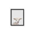 Picture of Baby Lamb _GroupedProduct_Rectangle_Portrait_Mini_ _GroupedProduct_Rectangle_Portrait_Canvas_Framed_