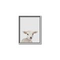 Picture of Baby Lamb _GroupedProduct_Rectangle_Portrait_Mini_ _GroupedProduct_Rectangle_Portrait_Canvas_Framed_