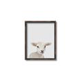 Picture of Baby Lamb _GroupedProduct_Rectangle_Portrait_Mini_ _GroupedProduct_Rectangle_Portrait_Canvas_Framed_