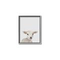 Picture of Baby Lamb _GroupedProduct_Rectangle_Portrait_Mini_ _GroupedProduct_Rectangle_Portrait_Canvas_Framed_