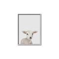 Picture of Baby Lamb _GroupedProduct_Rectangle_Portrait_Mini_ _GroupedProduct_Rectangle_Portrait_Canvas_Framed_
