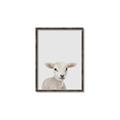 Picture of Baby Lamb _GroupedProduct_Rectangle_Portrait_Mini_ _GroupedProduct_Rectangle_Portrait_Canvas_Framed_