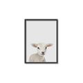 Picture of Baby Lamb _GroupedProduct_Rectangle_Portrait_Mini_ _GroupedProduct_Rectangle_Portrait_Canvas_Framed_