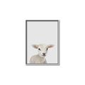 Picture of Baby Lamb _GroupedProduct_Rectangle_Portrait_Mini_ _GroupedProduct_Rectangle_Portrait_Canvas_Framed_
