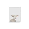 Picture of Baby Lamb _GroupedProduct_Rectangle_Portrait_Mini_ _GroupedProduct_Rectangle_Portrait_Canvas_Framed_