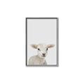 Picture of Baby Lamb _GroupedProduct_Rectangle_Portrait_Mini_ _GroupedProduct_Rectangle_Portrait_Canvas_Framed_