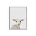 Picture of Baby Lamb _GroupedProduct_Rectangle_Portrait_Mini_ _GroupedProduct_Rectangle_Portrait_Canvas_Framed_