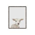 Picture of Baby Lamb _GroupedProduct_Rectangle_Portrait_Mini_ _GroupedProduct_Rectangle_Portrait_Canvas_Framed_