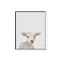 Picture of Baby Lamb _GroupedProduct_Rectangle_Portrait_Mini_ _GroupedProduct_Rectangle_Portrait_Canvas_Framed_