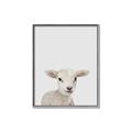 Picture of Baby Lamb _GroupedProduct_Rectangle_Portrait_Mini_ _GroupedProduct_Rectangle_Portrait_Canvas_Framed_