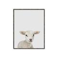 Picture of Baby Lamb _GroupedProduct_Rectangle_Portrait_Mini_ _GroupedProduct_Rectangle_Portrait_Canvas_Framed_