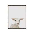 Picture of Baby Lamb _GroupedProduct_Rectangle_Portrait_Mini_ _GroupedProduct_Rectangle_Portrait_Canvas_Framed_