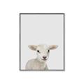 Picture of Baby Lamb _GroupedProduct_Rectangle_Portrait_Mini_ _GroupedProduct_Rectangle_Portrait_Canvas_Framed_
