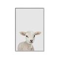 Picture of Baby Lamb _GroupedProduct_Rectangle_Portrait_Mini_ _GroupedProduct_Rectangle_Portrait_Canvas_Framed_