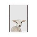 Picture of Baby Lamb _GroupedProduct_Rectangle_Portrait_Mini_ _GroupedProduct_Rectangle_Portrait_Canvas_Framed_