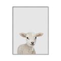 Picture of Baby Lamb _GroupedProduct_Rectangle_Portrait_Mini_ _GroupedProduct_Rectangle_Portrait_Canvas_Framed_