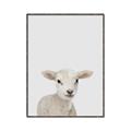Picture of Baby Lamb _GroupedProduct_Rectangle_Portrait_Mini_ _GroupedProduct_Rectangle_Portrait_Canvas_Framed_