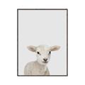 Picture of Baby Lamb _GroupedProduct_Rectangle_Portrait_Mini_ _GroupedProduct_Rectangle_Portrait_Canvas_Framed_