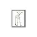 Picture of In Front Lamb _GroupedProduct_Rectangle_Portrait_Mini_ _GroupedProduct_Rectangle_Portrait_Canvas_Framed_