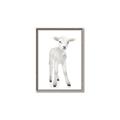 Picture of In Front Lamb _GroupedProduct_Rectangle_Portrait_Mini_ _GroupedProduct_Rectangle_Portrait_Canvas_Framed_