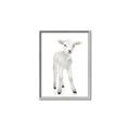 Picture of In Front Lamb _GroupedProduct_Rectangle_Portrait_Mini_ _GroupedProduct_Rectangle_Portrait_Canvas_Framed_