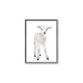 Picture of In Front Lamb _GroupedProduct_Rectangle_Portrait_Mini_ _GroupedProduct_Rectangle_Portrait_Canvas_Framed_