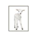 Picture of In Front Lamb _GroupedProduct_Rectangle_Portrait_Mini_ _GroupedProduct_Rectangle_Portrait_Canvas_Framed_
