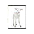 Picture of In Front Lamb _GroupedProduct_Rectangle_Portrait_Mini_ _GroupedProduct_Rectangle_Portrait_Canvas_Framed_