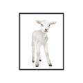 Picture of In Front Lamb _GroupedProduct_Rectangle_Portrait_Mini_ _GroupedProduct_Rectangle_Portrait_Canvas_Framed_