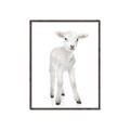 Picture of In Front Lamb _GroupedProduct_Rectangle_Portrait_Mini_ _GroupedProduct_Rectangle_Portrait_Canvas_Framed_