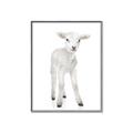 Picture of In Front Lamb _GroupedProduct_Rectangle_Portrait_Mini_ _GroupedProduct_Rectangle_Portrait_Canvas_Framed_