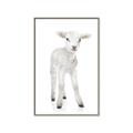 Picture of In Front Lamb _GroupedProduct_Rectangle_Portrait_Mini_ _GroupedProduct_Rectangle_Portrait_Canvas_Framed_