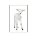 Picture of In Front Lamb _GroupedProduct_Rectangle_Portrait_Mini_ _GroupedProduct_Rectangle_Portrait_Canvas_Framed_
