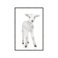 Picture of In Front Lamb _GroupedProduct_Rectangle_Portrait_Mini_ _GroupedProduct_Rectangle_Portrait_Canvas_Framed_