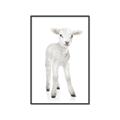 Picture of In Front Lamb _GroupedProduct_Rectangle_Portrait_Mini_ _GroupedProduct_Rectangle_Portrait_Canvas_Framed_